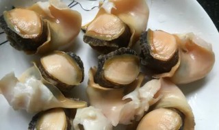 海螺煮熟后有粘液能吃吗 海螺煮熟后有粘液是怎么回事