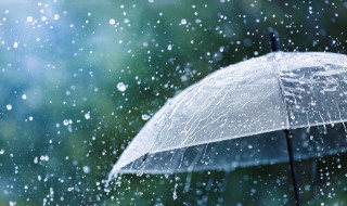 为什么下雨天蚊子不会被雨滴砸（为什么下雨天蚊子不会被雨滴砸中）