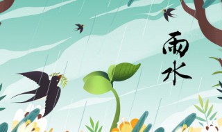 2022年雨水多还是少（2020年雨水多还是少）