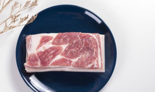 猪肉不放冰箱能放多久 猪肉在冰箱里放多久不能吃
