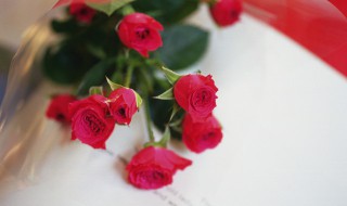 求爱送几朵玫瑰花送什么颜色的