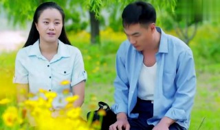 兰桐花开万贤说下雨第几集（兰桐花开下雨是哪一集）