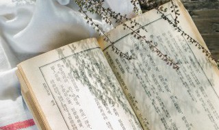 李世民是怎么当上的皇帝 李世民怎么当上皇上