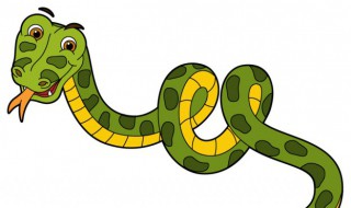 古代对蛇的雅称 蛇的别称和雅称