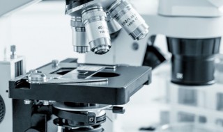 显微镜使用的基本常识都包括哪些 显微镜的使用的基本常识
