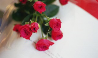 如何保存玫瑰花 如何保存玫瑰花时间更久