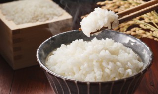 米饭在冰箱里可以放多久 蒸好的米饭在冰箱里可以放多久