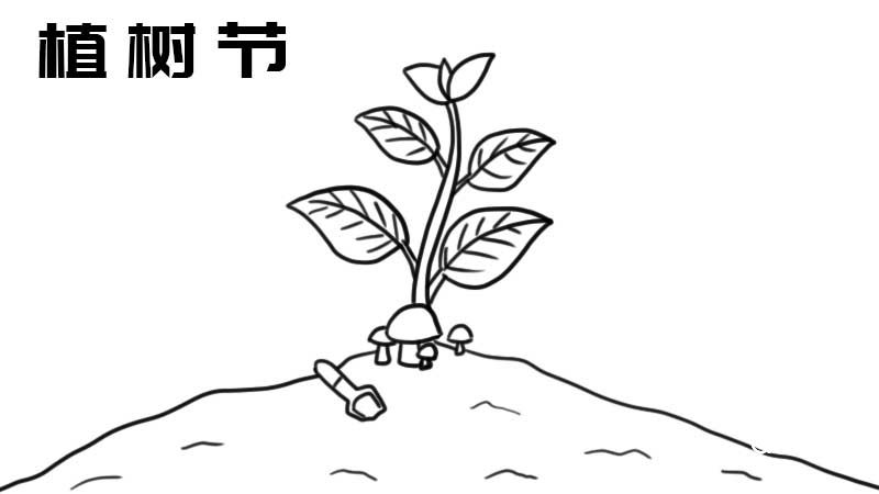 植树节手抄报图片