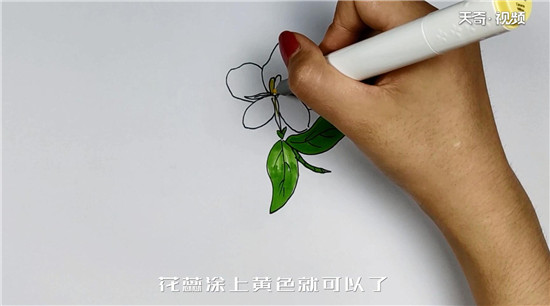 栀子花简笔画