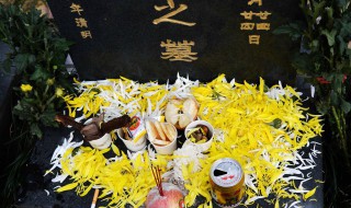 清明祭奠逝者鲜花用单数还是双数 祭拜鲜花用单数还是双数