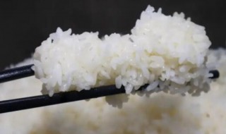 怎么煮大米饭（用炒锅怎么煮大米饭）