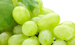 谁知道鲜葡萄怎样保存能保存多久 鲜葡萄怎么长时间保存方法
