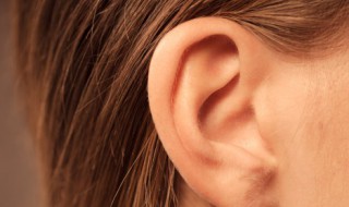 耳朵除了听觉功能还可以感知到（耳朵除了听觉功能还可以感知到什么）
