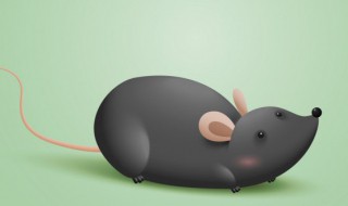争先恐后的动物是什么动物（恐后争先是指什么动物）