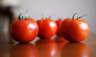 西红柿常温下可以放多久 西红柿在常温下可以放多久