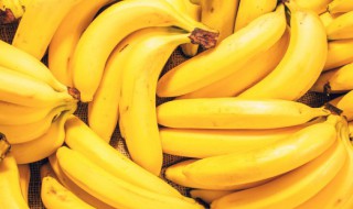 香蕉是用来干嘛的 香蕉是什么的什么的