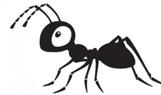 蚂蚁为什么总是很忙碌 蚂蚁为什么那么忙