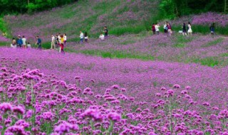 谷里在哪里（谷里在哪里啊）