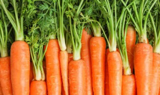 胡萝卜可以放多久 胡萝卜可以放多久冰箱