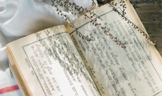 四大文明古国介绍（四大文明古国介绍词）