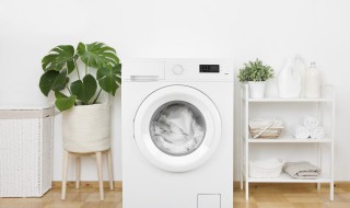 如何利用白醋和小苏打清洗洗衣机 如何利用白醋和小苏打清洗洗衣机烘干