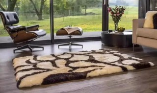 纯毛地毯如何保养 纯毛地毯怎样养护