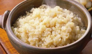 糙米饭的正确煮法（七色糙米饭的正确煮法）