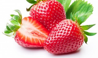 露天草莓的种植方法是什么 露天草莓的种植方法和技术