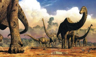恐龙中最大的是什么恐龙 最大的恐龙是什么呀