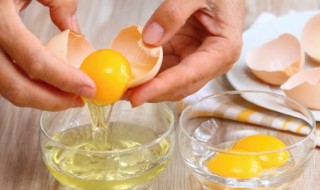 在食品分类中鸡蛋属于哪一类 鸡蛋属于食品中的哪种分类