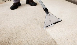 地毯应该怎么清洁 地毯怎样清理干净
