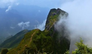 鸡公山海拔多少米（信阳鸡公山海拔多少米）