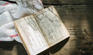 三国的魏国是怎么灭亡的（魏国怎么灭亡的?）