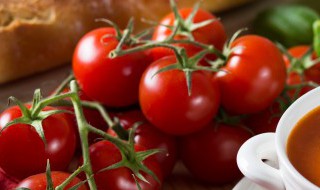 番茄是双子叶植物还是单子叶植物 番茄是双子叶植物还是单子叶植物为什么