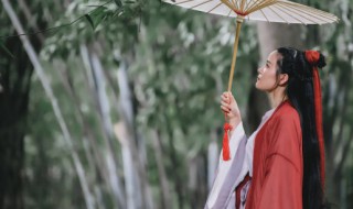 淡雅唯美古风意境女孩名（古风韵味的女孩名）