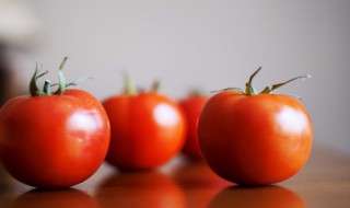立夏还能种西红柿吗 西红柿这个季节能种吗