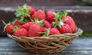 立夏草莓可以种吗 冬天可不可以种草莓