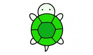 小鳄龟可以养在鱼缸里吗（鳄龟缸里可以养植物吗）