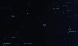 猎户座的头指向哪个方向（猎户星座头像）