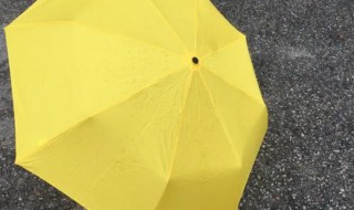 雨伞可以当太阳伞吗 雨伞可以当太阳伞用吗