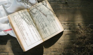 所见这首诗属于哪种体裁（所见是哪种体裁的诗）