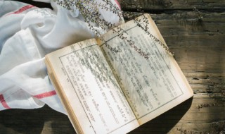 左手定则四指方向是什么方向（右手定则四指方向是什么方向）