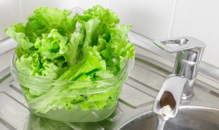 球形生菜怎么做好吃（球形生菜怎么做好吃又简单）