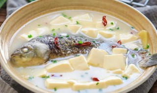 鱼汤怎么做才能做成乳白色的 奶白色的鱼汤是怎么做出来的