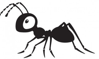 蚂蚁为什么是大力士 蚂蚁大力士是什么意思