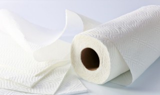 卫生纸是什么材料做的（卫生纸是什么材料做的视频）