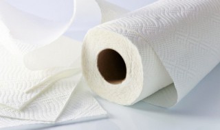 卫生纸用什么材料做的（卫生纸用啥材料做的）