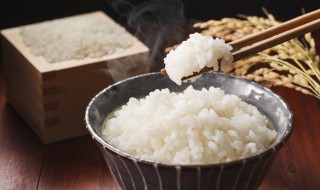 没吃完的米饭怎么保存 夏天没吃完的米饭怎么保存