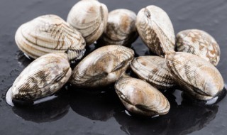 熟的牡蛎和花哈可以存放多久 牡蛎怎么存放时间长