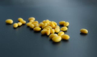 怎么泡黄豆芽（怎么泡黄豆芽最简单）